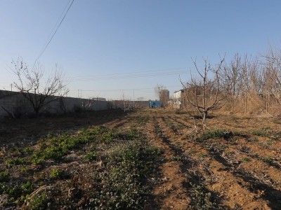 牟平区照格庄村附近土地图3