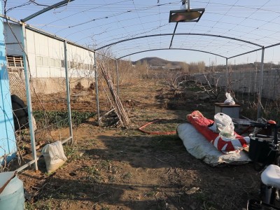 牟平区照格庄村附近土地图4