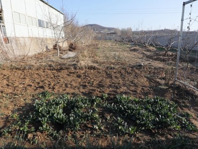 牟平区照格庄村附近土地图7