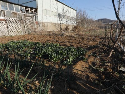 牟平区照格庄村附近土地图8
