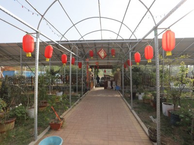 莱山区植物园独门独院图2