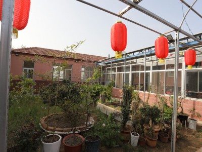 莱山区植物园独门独院图6