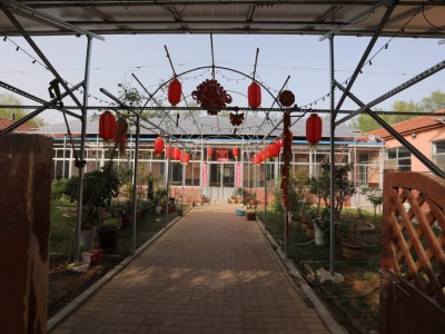莱山区植物园独门独院图8