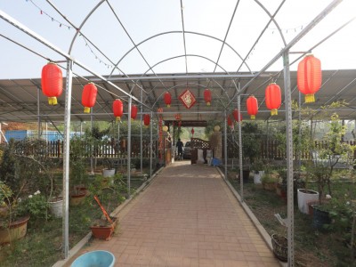 莱山区植物园200亩带房土地图4