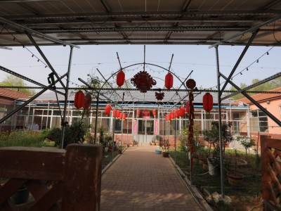 莱山区植物园200亩带房土地图8