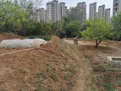 芝罘区锦绣新天地果园图2