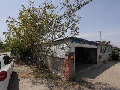 莱山区植物园附近果园图2