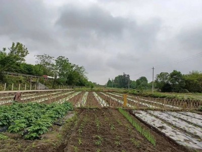 30平米私家菜园（适合芝罘区，莱山区，高新区市民）图9