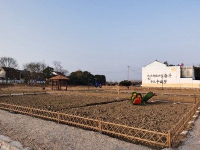 30平方私家菜园（适合芝罘、福山区）图8