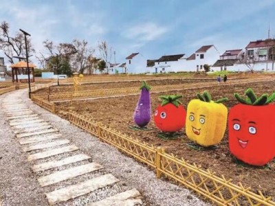 40平方私家菜园（适合芝罘、福山区）图3