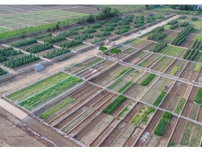 40平方私家菜园（适合芝罘、福山区）图6