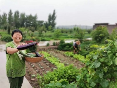 50平方私家菜园（适合芝罘、福山区）图5