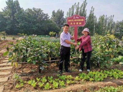 50平方私家菜园（适合芝罘、福山区）图4