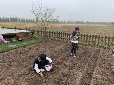 50平方私家菜园（适合芝罘、福山区）图9