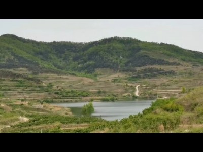 海阳市大石磊村30亩土地图4