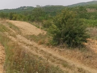 牟平区水道镇200亩土地图4