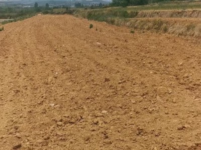 牟平区水道镇200亩土地图6