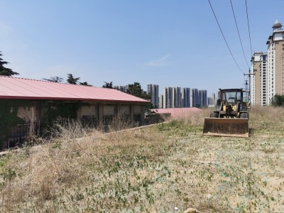 莱山区四季花城3亩土地图9