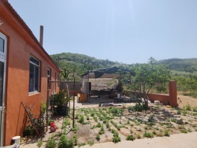 莱山区贾家疃周边果园（金斗山路东南）图4