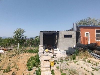 莱山区贾家疃周边果园（金斗山路东南）图3
