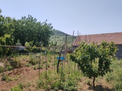 莱山区贾家疃周边果园（金斗山路东南）图7
