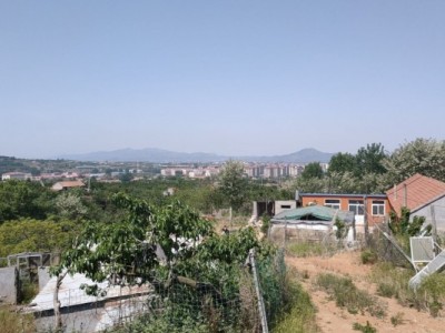 莱山区贾家疃周边果园（金斗山路东南）图10