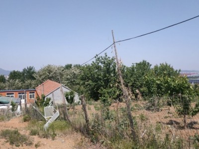 莱山区贾家疃周边果园（金斗山路东南）图8