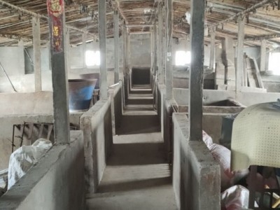 牟平区武宁镇新垦庄果园图6