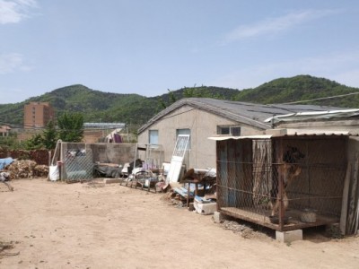 牟平区武宁镇新垦庄果园图4