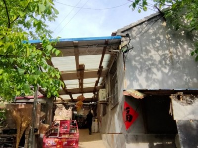 莱山区南港果园出租图6