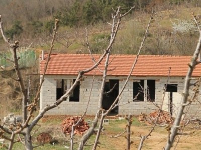莱山区天籁花园附近果园五图5