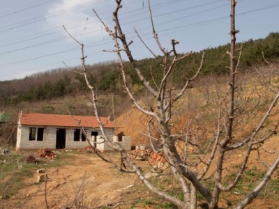 莱山区天籁花园附近果园五图10
