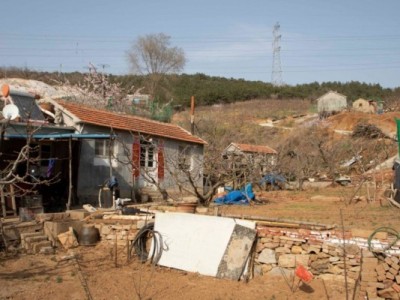 莱山区天籁花园附近果园六图2