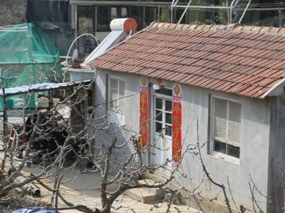 莱山区天籁花园附近果园六图4