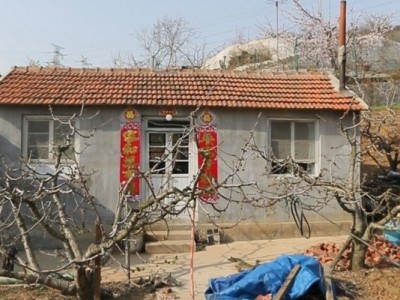 莱山区天籁花园附近果园六图5