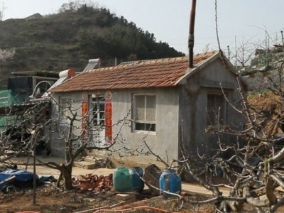 莱山区天籁花园附近果园六图6
