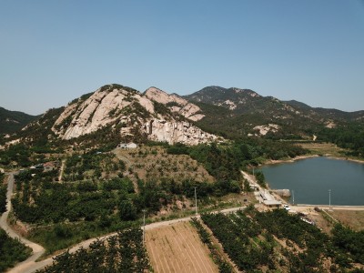 牟平区龙泉镇北岘村50亩带果园土地图3