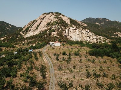 牟平区龙泉镇北岘村50亩带果园土地图5
