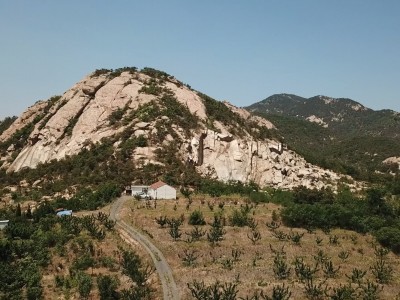 牟平区龙泉镇北岘村50亩带果园土地图6