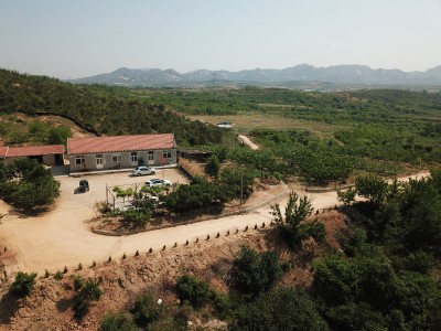 牟平区玉林店镇（含40亩建设用地）1500亩土地转让图5