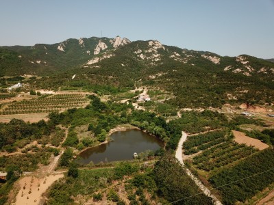 牟平区玉林店镇（含40亩建设用地）1500亩土地转让图7