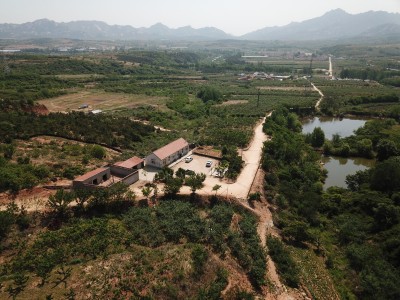 牟平区玉林店镇（含40亩建设用地）1500亩土地转让图9