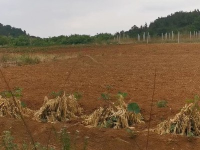门楼水库2000亩山峦地图6
