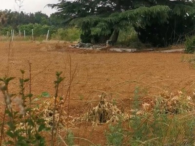 门楼水库2000亩山峦地图7