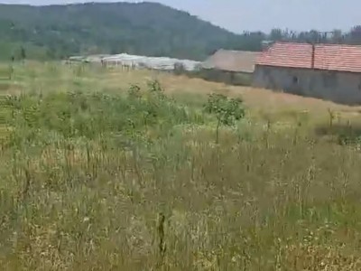 福山区道平村1000亩图2