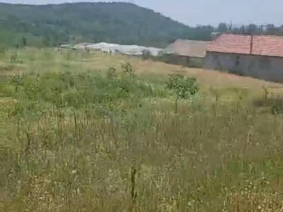 福山区道平村1000亩图5