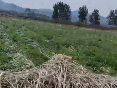 福山区回里夹河边100亩平板地图2