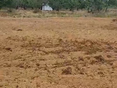 高新区1000亩平板地图4