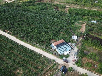 牟平区新垦庄村30亩果园图2