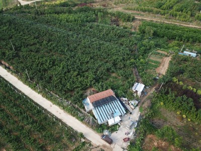 牟平区新垦庄村30亩果园图3